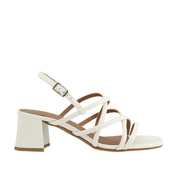 Bianco