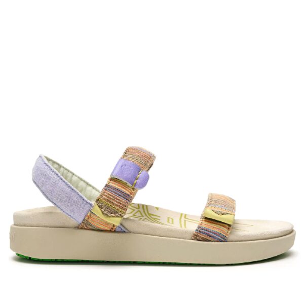 Multicolor