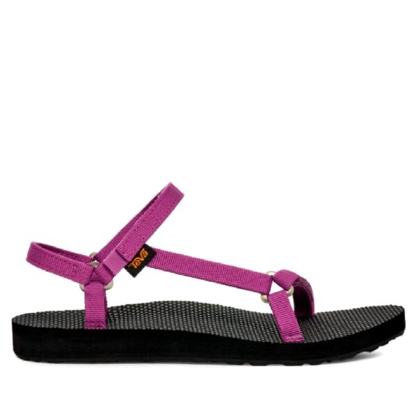 Fucsia