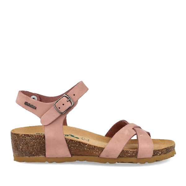 Multicolor,Rosa