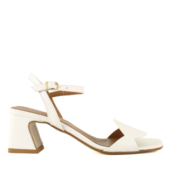 Bianco