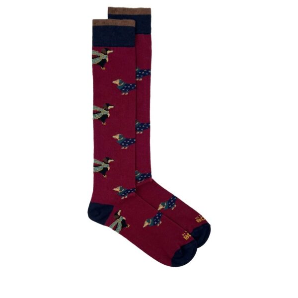 Multicolor,Bordeaux