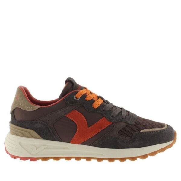 Multicolor,Marrone